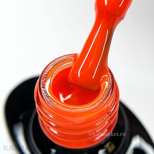 Elpaza 10мл 19 Мальдивы Neon гель-лак 11222019