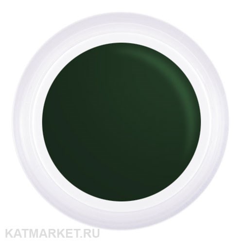 PN 5грТ 07 зеленая Гель-краска для стемпинга, аэропуффинга, китайской росписи 10939007