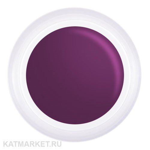 PN 5грТ 08 фиолетовая Гель-краска для стемпинга, аэропуффинга, китайской росписи 10939008