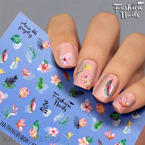 Fashion Nails Слайдер на прозрачной пленке Aero 56 61294056