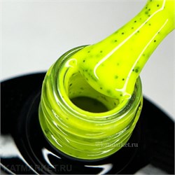 Elpaza 10мл Lollipop 10 Гель-лак 11237010