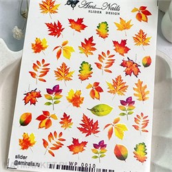 Aminails слайдеры wp 0010 61225010