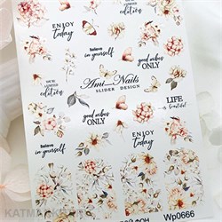 Aminails слайдеры wp 0666 61225666