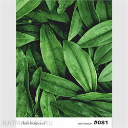 Фотофон 30х40см fn 81 60827081