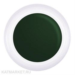 PN 5грТ 07 зеленая Гель-краска для стемпинга, аэропуффинга, китайской росписи 10939007