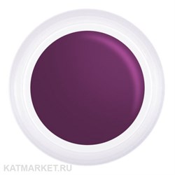 PN 5грТ 08 фиолетовая Гель-краска для стемпинга, аэропуффинга, китайской росписи 10939008