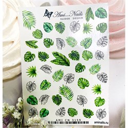 Aminails слайдеры cn 3159 61221159