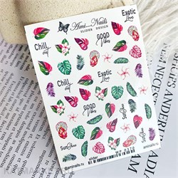 Aminails слайдеры wp 0370 61225370