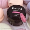 Divinail 30мл Sculpture Gel 42 12323042