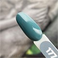 PN 8мл Axios 177 Гель-лак 10945177
