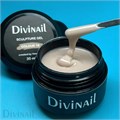 Divinail 30мл Sculpture Gel 16 12323016