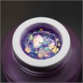 PN 5г Korean Mauve Гель для дизайна с глиттером 10985135