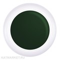 PN 5грТ 07 зеленая Гель-краска для стемпинга, аэропуффинга, китайской росписи 10939007