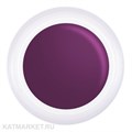 PN 5грТ 08 фиолетовая Гель-краска для стемпинга, аэропуффинга, китайской росписи 10939008